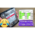 Toshiba HDWD130EZSTA