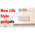 Xiaomi Pocket Audio
