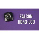 Falcon HD43-LCD