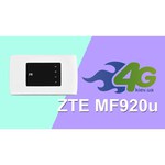 ZTE MF920
