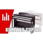 Kurzweil CUP220