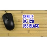 Genius DX-120 Spring Green USB