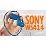 Sony NW-WS414