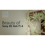 Sony FE 85 mm f/1.4 GM (SEL-85F14GM)