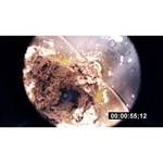 RAWMID Dream Luxury 2 (BDL-09)