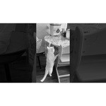 Moulinex OW2101 Pain Dore