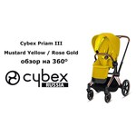 Cybex Priam Lux (3 в 1)