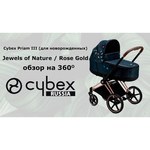 Cybex Priam Lux (3 в 1)