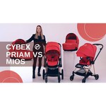 Cybex Priam Lux (3 в 1)