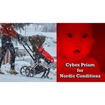 Cybex Priam Lux (3 в 1)