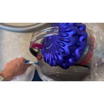 Dyson Cinetic Big Ball Musclehead