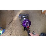 Dyson Cinetic Big Ball Musclehead