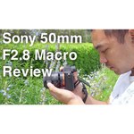 Sony FE 50mm f/2.8 Macro