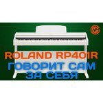 Roland RP501R