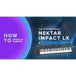 Nektar Impact LX49+