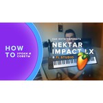 Nektar Impact LX49+