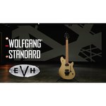 EVH Wolfgang WG Standard