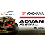 Yokohama ADVAN Fleva V701 205/55 R16 91W