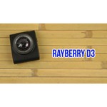 RayBerry D3