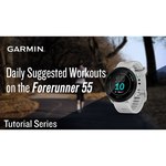 Garmin DashCam 55