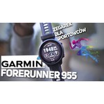 Garmin DashCam 55