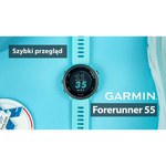 Garmin DashCam 55