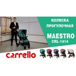 Baby Tilly Carrello Maestro CRL-1414