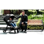 Baby Tilly Carrello Maestro CRL-1414