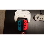 Nintendo Joy-Con controllers