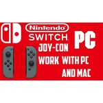 Nintendo Joy-Con controllers
