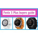 Garmin Fenix 5S Sapphire (metal)