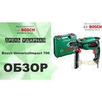 Bosch UniversalImpact 700 Case