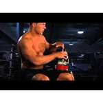 Optimum Nutrition 100% Whey Gold Standard (2.273-2.353 кг)