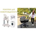 Cybex Priam Butterfly (прогулочная)