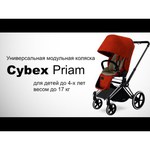 Cybex Priam Butterfly (прогулочная)