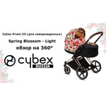 Cybex Priam Butterfly (прогулочная)