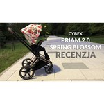 Cybex Priam Butterfly (прогулочная)