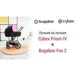 Cybex Priam Butterfly (прогулочная)