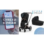 Cybex Priam Butterfly (прогулочная)