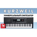 Kurzweil KP110