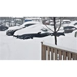 Bridgestone Blizzak WS-80 215/50 R17 95H