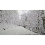 Firestone Winterforce 245/70 R17 119/116R