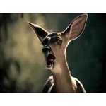 Bridgestone Blizzak Revo GZ 245/40 R18 93S обзоры