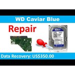 Western Digital WD Blue 750 GB (WD7500AALX)