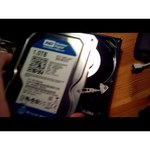 Western Digital WD Blue 750 GB (WD7500AALX)