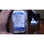 Western Digital WD Blue 640 GB (WD6400AAKS)