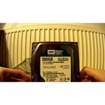 Western Digital WD Blue 640 GB (WD6400AAKS)