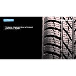 Gislaved EURO*FROST 5 175/70 R14 84T