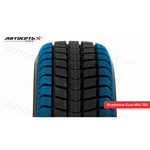 Nexen Euro-Win 700 165/70 R14 81T