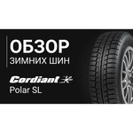 Cordiant Polar 195/60 R15 88T